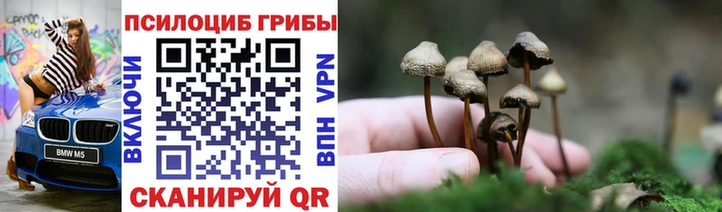 hydra ссылка  Королёв  Псилоцибиновые грибы Magic Shrooms 